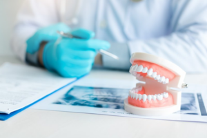 Close up of a model set of teeth on a dentist’s desk